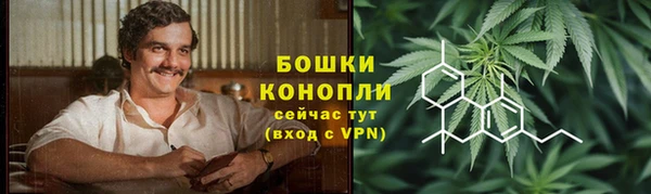 винт Верея