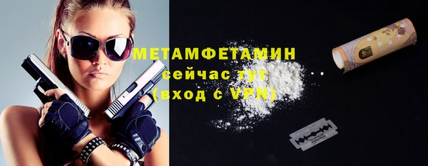 индика Верхний Тагил