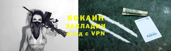 винт Верея
