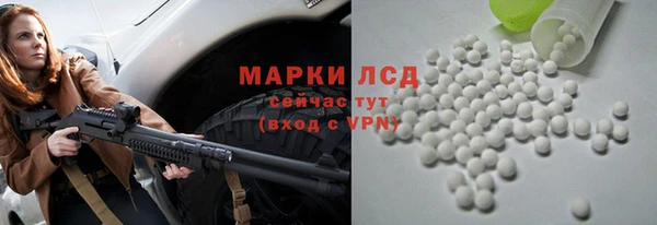 индика Верхний Тагил