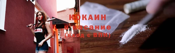 индика Верхний Тагил