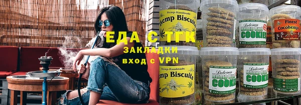 индика Верхний Тагил