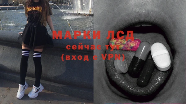 индика Верхний Тагил