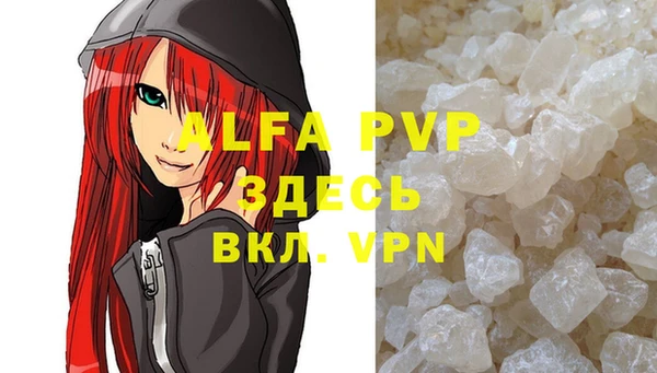 винт Верея