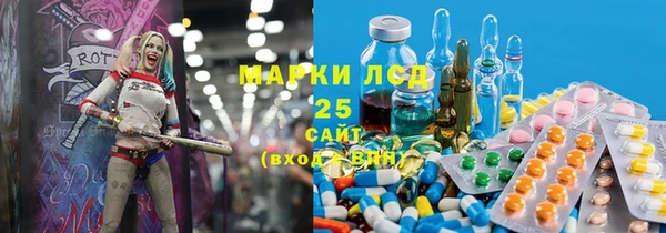 индика Верхний Тагил