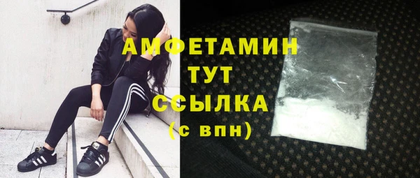 винт Верея