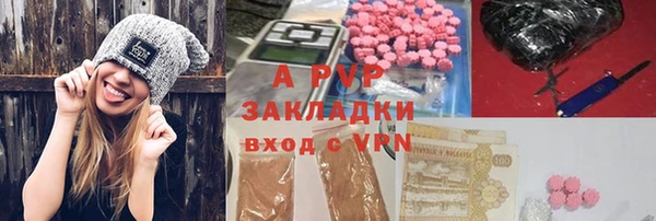 индика Верхний Тагил