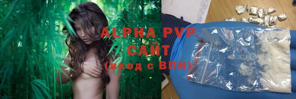 индика Верхний Тагил