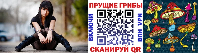 Купить закладки  Черноголовка  Псилоцибиновые грибы Psilocybine cubensis 