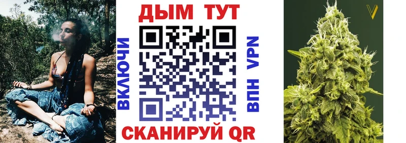 Купить  Черноголовка  Канабис конопля 